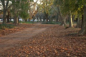 parque gral san martin 9 de julio 