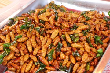 Fried insect at street food