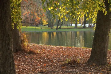 parque gral san martin 9 de julio 