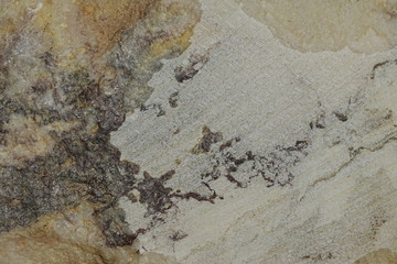 Marble Texture 5