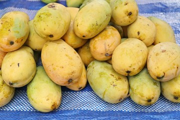 mango fruit at the street food