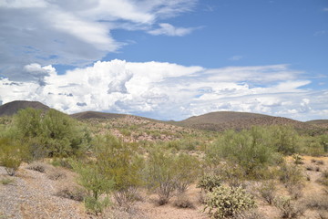Arizona monsoon season