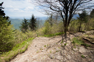 Appalachian Hiking Backpacking Trail - Jump Off - Great Smoky Mountains National Park - North Carolina