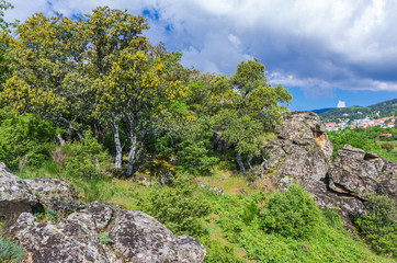 Forest, rocks and a village in spring