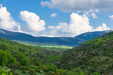 Landscape of a mountain valley in spring