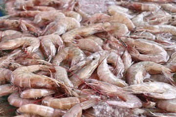 fresh shrimp at street food