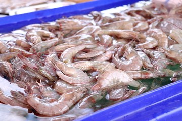 fresh shrimp at street food