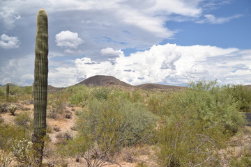 Arizona monsoon season