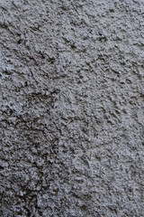 Old Wall Texture 4