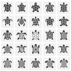 Sea turtle icons set on background for graphic and web design. Simple illustration. Internet concept symbol for website button or mobile app. - 270309508