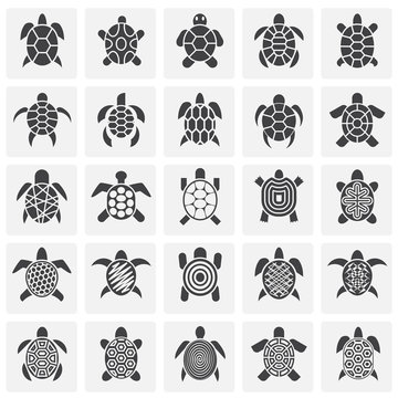 Sea turtle icons set on background for graphic and web design. Simple illustration. Internet concept symbol for website button or mobile app.