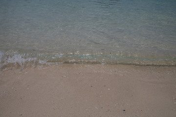 A detail of the seashore