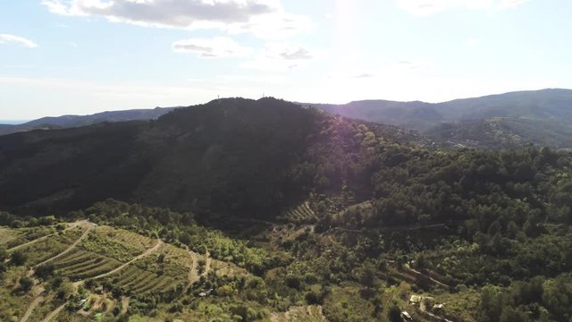 Aerial view  of fields of cherry blossom  in Barcelona. Sant Climent de Llobregat. Spain. 4k Drone Video