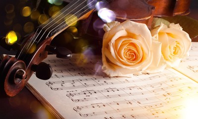 Violin with sheet music and white roses on black background