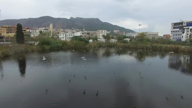 Lac Mezaia au centre ville de bejaia
