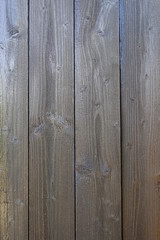 Obraz premium Wooden Texture 9