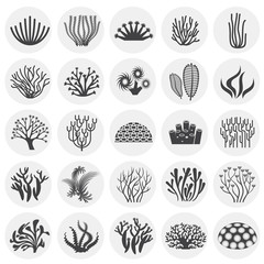 Coral icons set on background for graphic and web design. Simple illustration. Internet concept symbol for website button or mobile app.