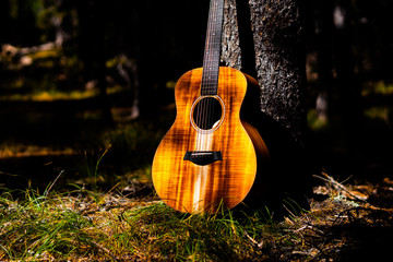 Guitar in the Forest