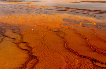 Grand Prismatic Hotspring