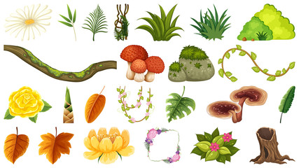 Set of ornamental plants