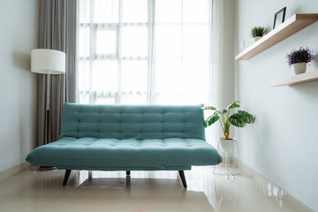 soft color sofa in a clean family room