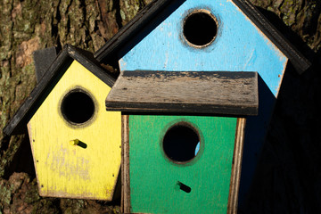 Colorful wooden birdhouse
