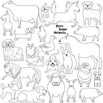 doodle of european breed domestic animals