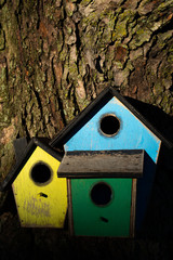 Colorful wooden birdhouse