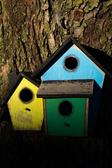 Colorful wooden birdhouse