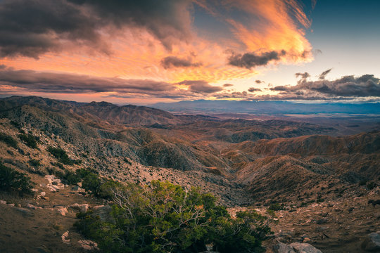 Keys View Joshua Tree