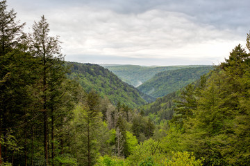 Mountain BlackWater River