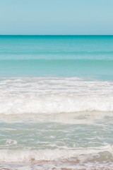 Caribbean Beach and Palm Trees