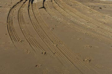 Fototapeta na wymiar Four wheel drive tyre marks in sand background