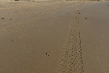 Four wheel drive tyre marks in wet sand background