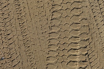 Four wheel drive tyre marks in wet sand background