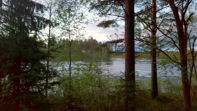 Beautiful Norwegian forest in Hedmark county in Norway