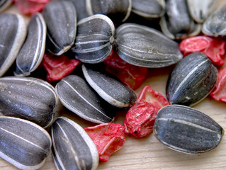 トウモロコシと向日葵の種