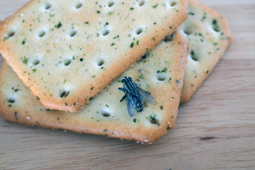 Flies come on food. Can lead to food and waterborne diseases. Flies are summer villains. Health in eating food concept