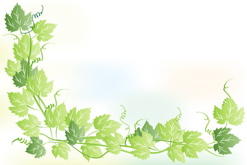 Frame leaves of grapes background vector