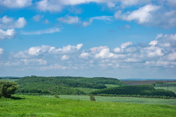 Plowed and sown field