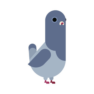 recommend clip art: Dove isolated. pigeon cartoon. City bird vector illustration.