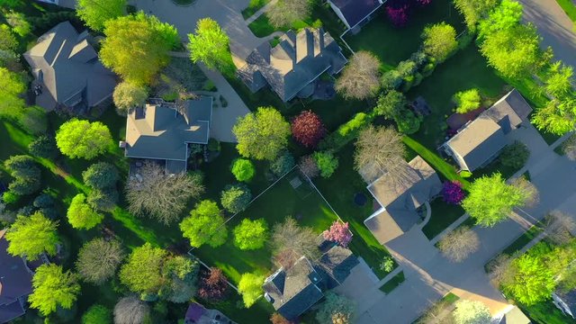 Beautiful, idyllic neighborhood, homes, houses, Springtime aerial view.