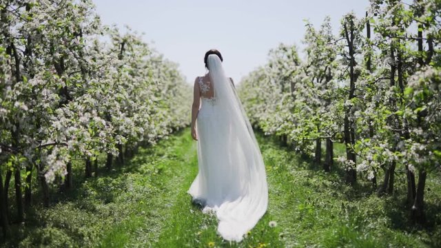 Wide angle shot of a young woman in soft focus, dressed as a bride wearing a white wedding gown and long veil walking through a beautiful garden on a sunny day