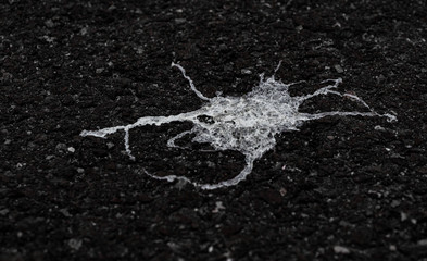 Bird shit on asphalt