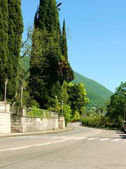 Naklejka premium View of the street passing through the old town. Gagra, Abkhazia