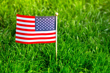 Flag of the United States. Green grass background. Celebration concept, Memorial Day, 4th of July , USA Independence Day.