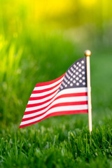 Flag of the United States.