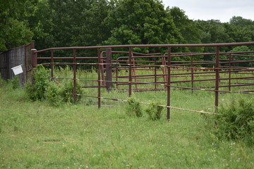 Corral
