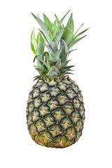 Fototapeta premium pineapple