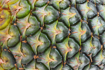Fototapeta premium pineapple peel